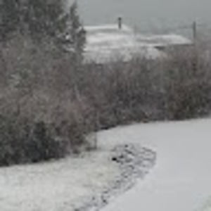 Meet your Posher, Isabella